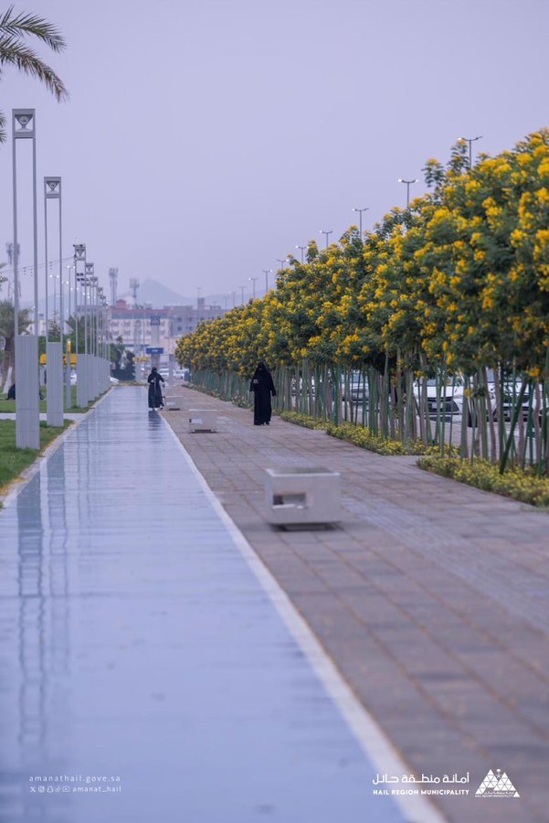 مشروع مكامن القوة